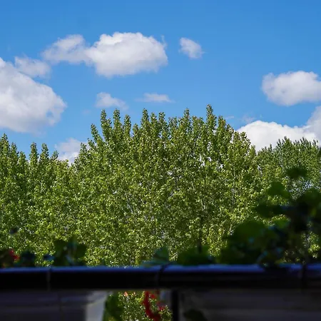 Appartement Rent Alvin - Luxury Near The